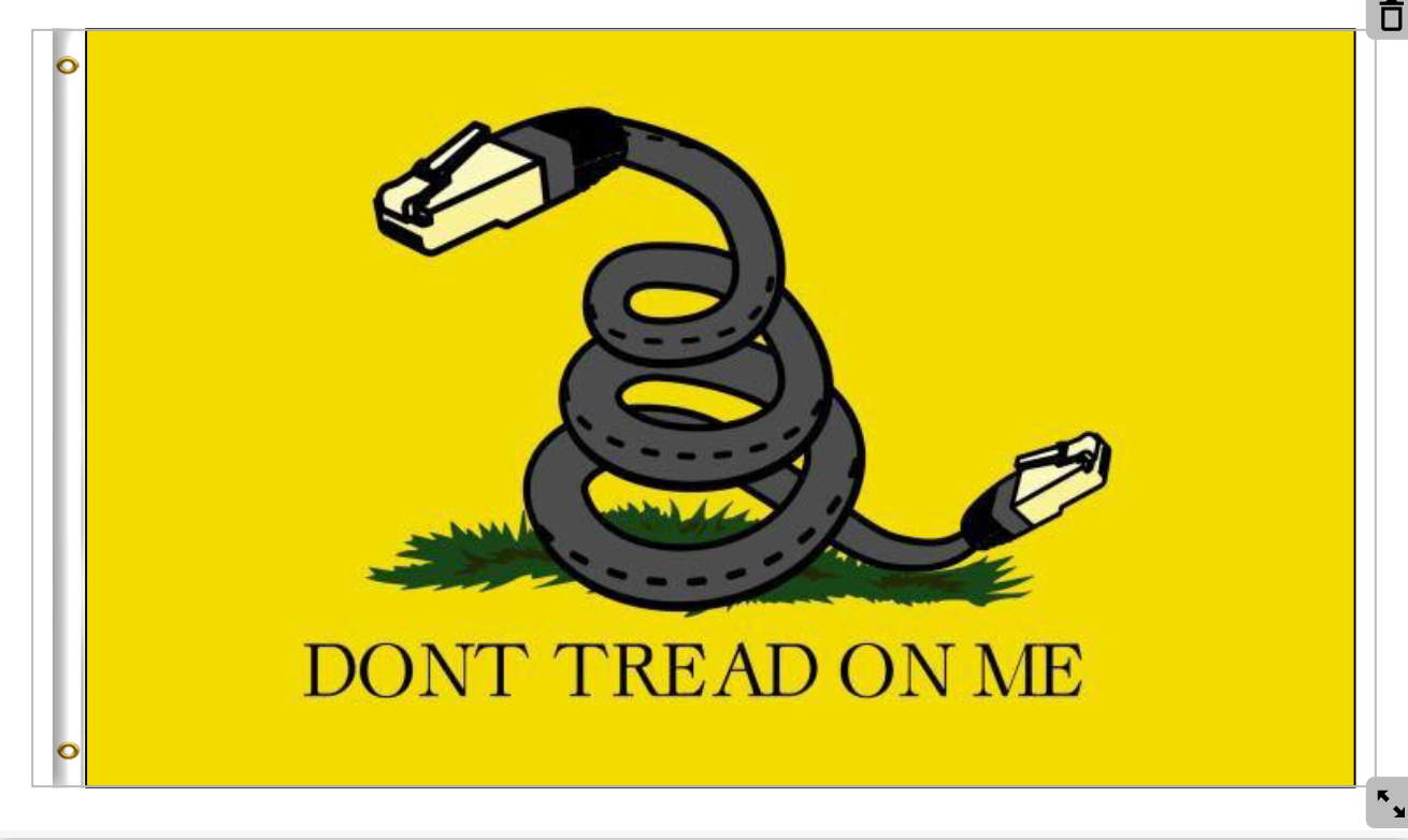 DON’T TREAD ON ME Flag